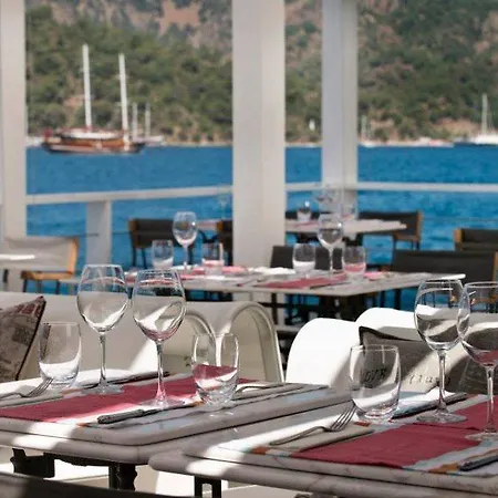 Hotel D-resort Gocek 4*